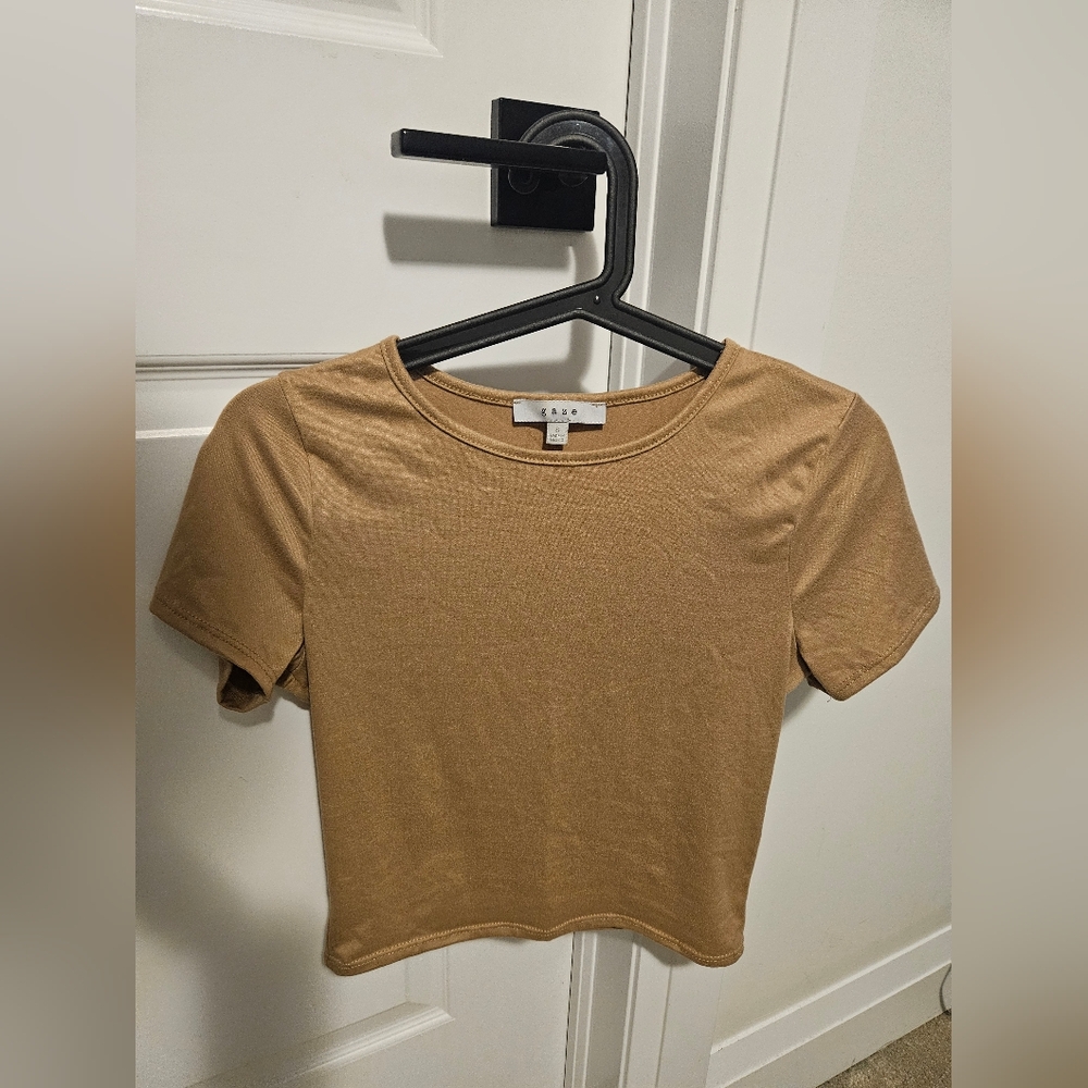 Zara Tan Crop Top